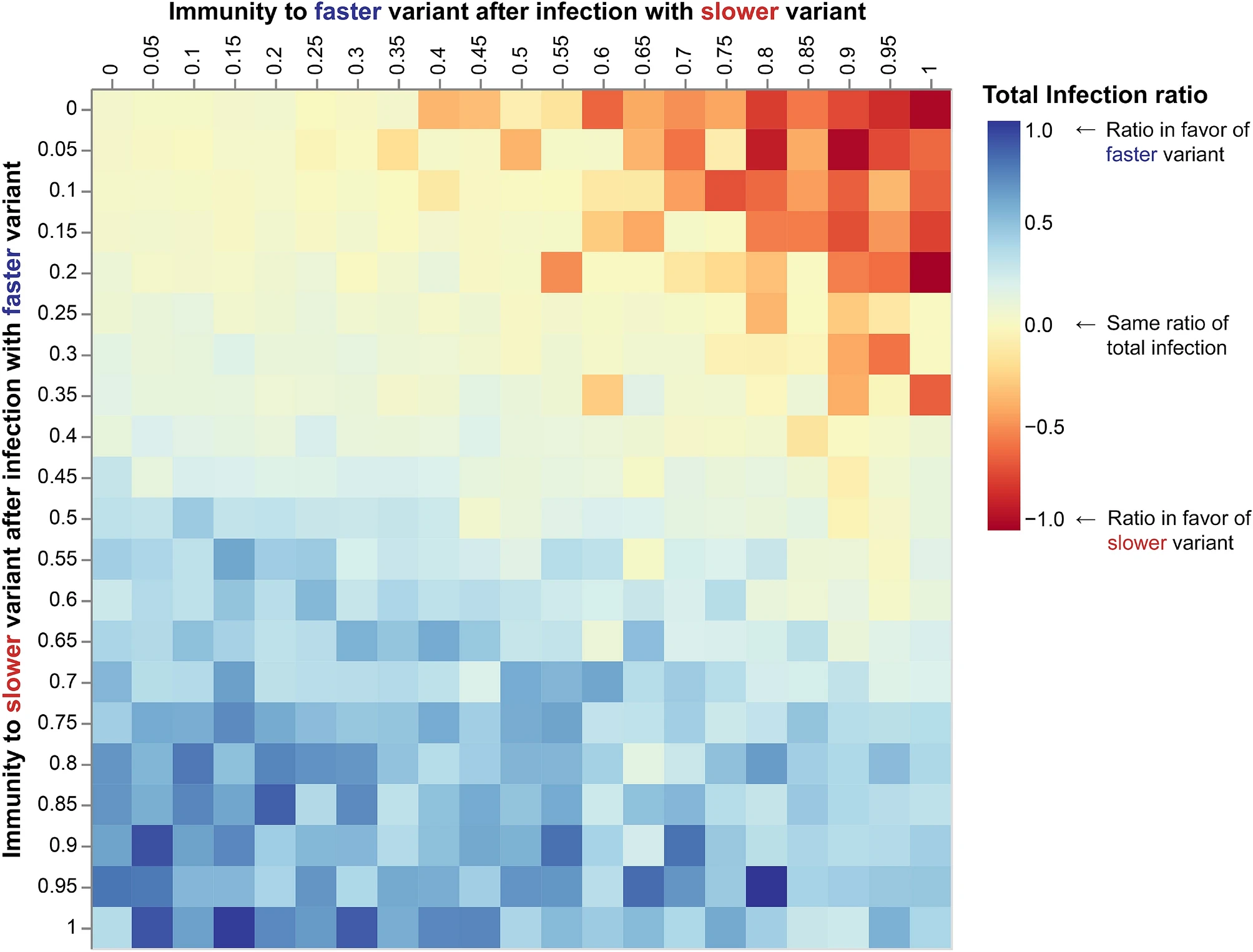 Competition between viral strains